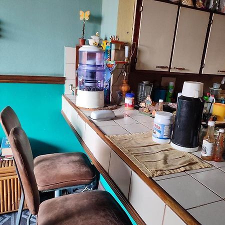 The Cozy Cactus House B&B Cartago Centro English Spoken Екстер'єр фото
